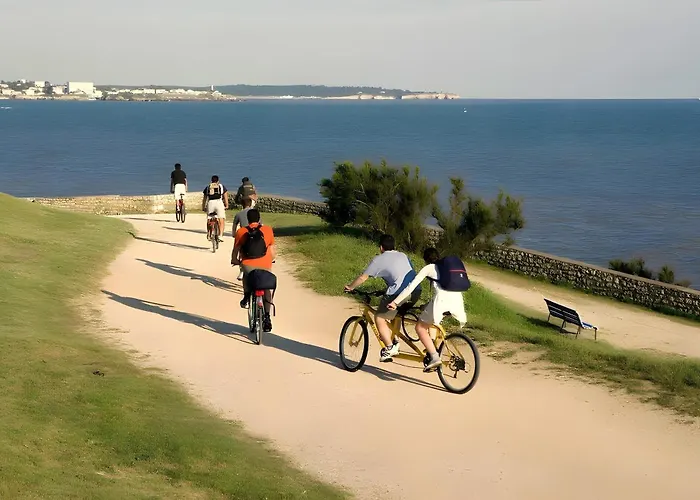 Nouveau Les Orphies Bord De Mer