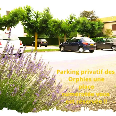 Nouveau Les Orphies Bord De Mer