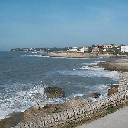 Nouveau Les Orphies Bord De Mer *