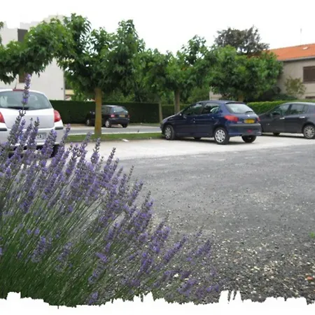 Les Orphies Du Charme Bord De * Vaux-sur-Mer