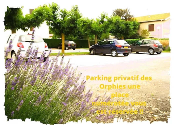 Nouveau Les Orphies Bord De Mer