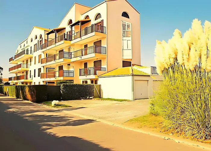 Nouveau Les Orphies Bord De Mer