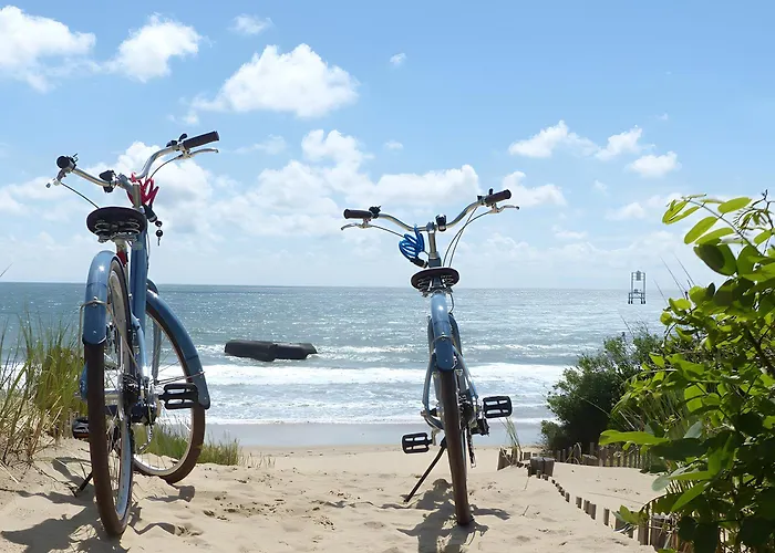 Nouveau Les Orphies Bord De Mer Apartamento Vaux-sur-Mer