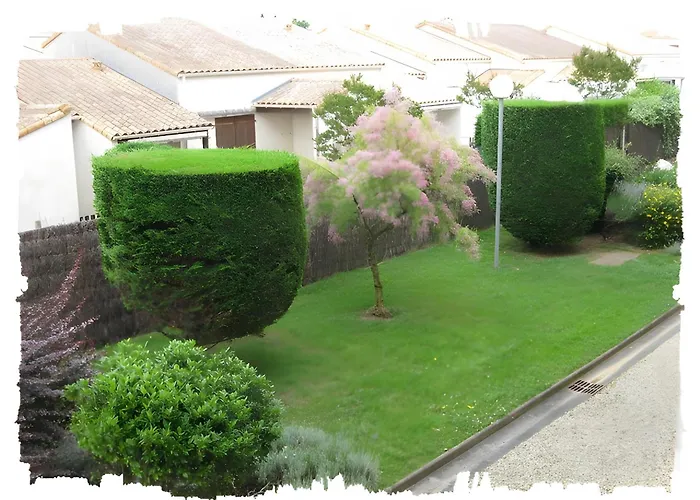 Apartamento Nouveau Les Orphies Bord De Mer *