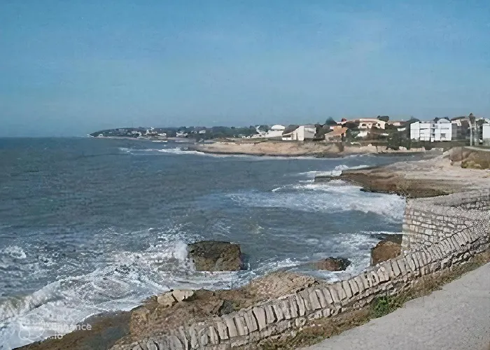 Nouveau Les Orphies Bord De Mer *