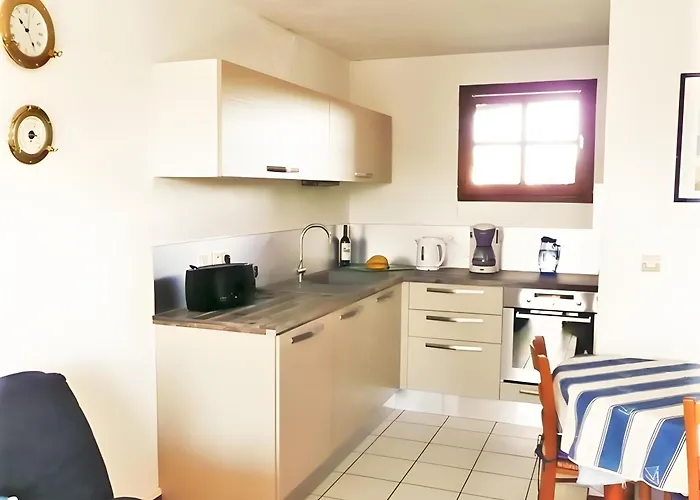 Nouveau Les Orphies Bord De Mer *