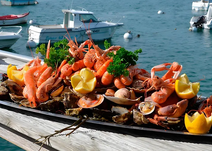 Apartment Nouveau Les Orphies Bord De Mer